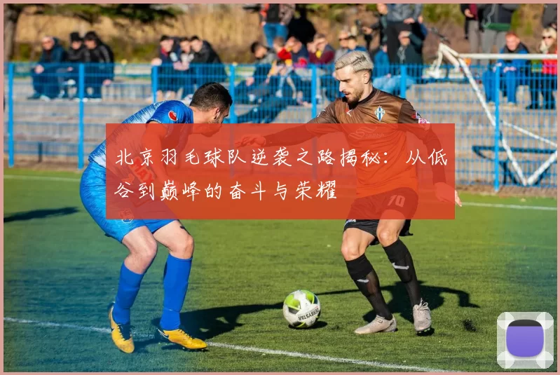 北京羽毛球队逆袭之路揭秘：从低谷到巅峰的奋斗与荣耀