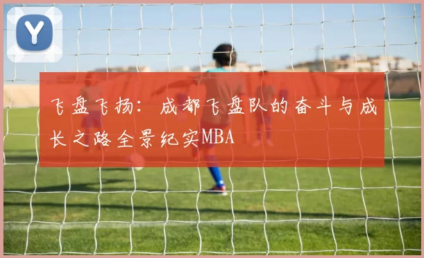 飞盘飞扬：成都飞盘队的奋斗与成长之路全景纪实MBA